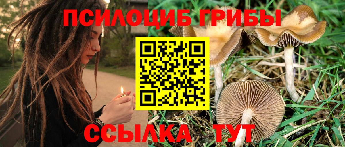 Псилоцибиновые грибы Magic Shrooms  Вход с VPN  закладка  Чебаркуль  Галлюциногенные грибы MAGIC MUSHROOMS 